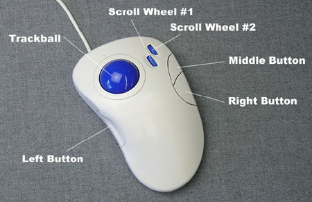 Trackball Mouse with Dual Scroll Wheels