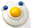 Bigtrack Trackball Mouse