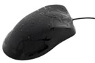 Washable Antimicrobial Optical Mouse