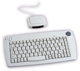 Mini Wireless Keyboard w/pointing device