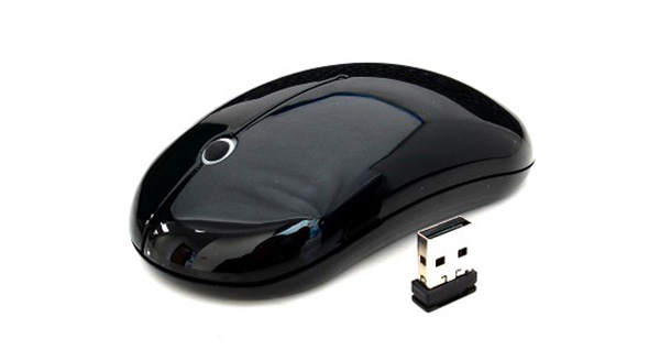 Mouse view and receiver