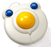 Bigtrack Trackball